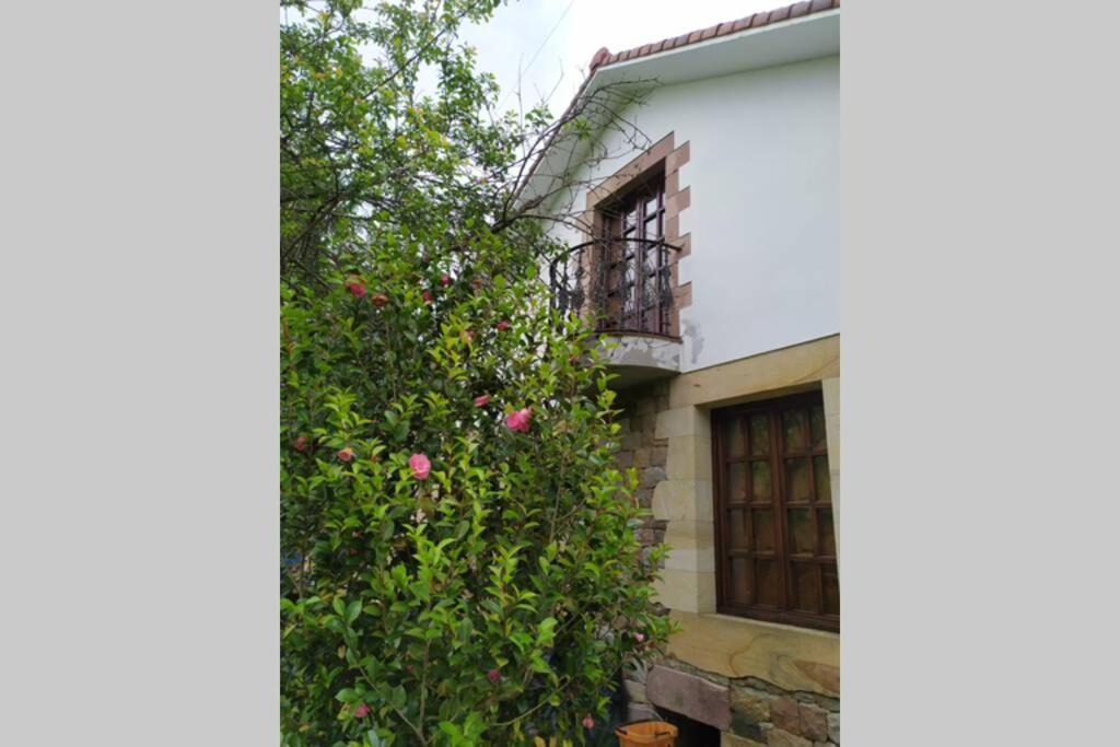 Casa Las Lindes Valle De Cabuerniga , Cantabria エクステリア 写真
